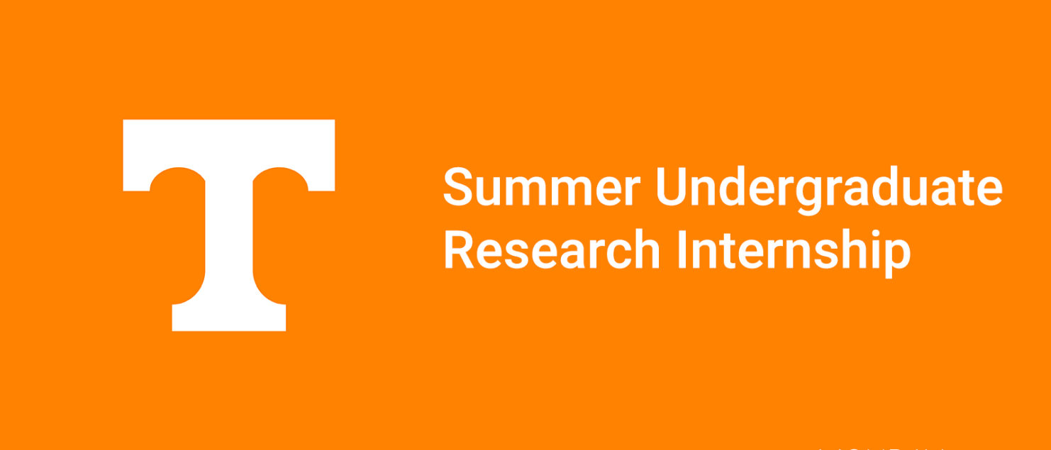 Summer Undergraduate Research Internship