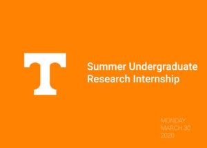Summer Undergraduate Research Internship